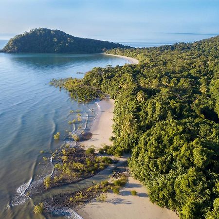 Cape Trib Beach House Cape Tribulation Dış mekan fotoğraf