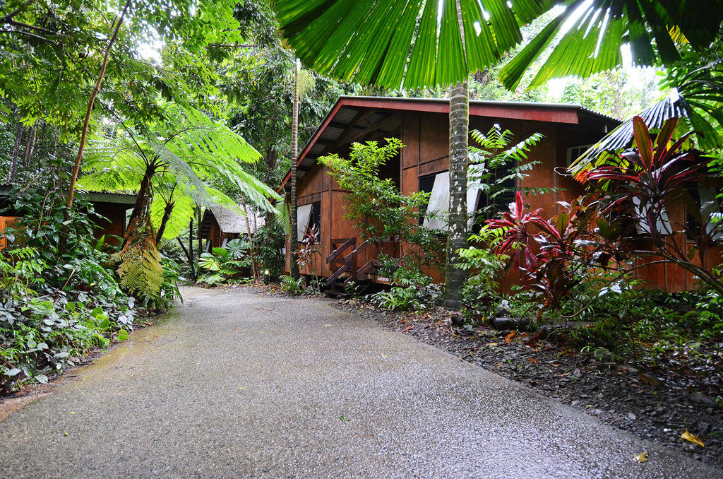 Cape Trib Beach House Cape Tribulation Dış mekan fotoğraf