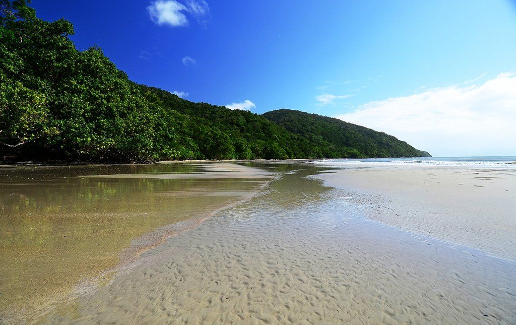 Cape Trib Beach House Cape Tribulation Dış mekan fotoğraf